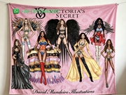 Victoria's Secret Throw Blankets